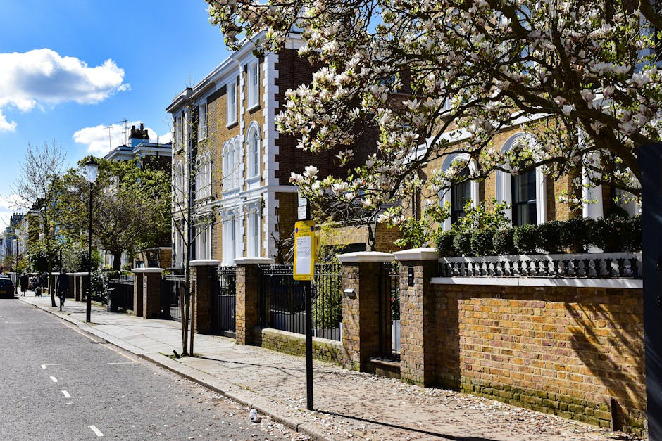 A residential street in Ladbroke Grove during daytime with clear blue skies and scattered clouds, showing a row of Victorian-style brick houses with white window frames and decorative trim. In the foreground, a tree with white blossoms partially obscures the view of the houses. The pavement is lined with black metal railings and brick pillars, with a bus stop positioned near the sidewalk featuring a yellow shelter and timetable. The street is quiet, with no visible pedestrians or vehicles, and the surrounding environment reflects a typical London neighbourhood scene likely involved in house removals or property transport services by Man With a Van Ladbroke Grove, suitable for home relocation and furniture transport activities.